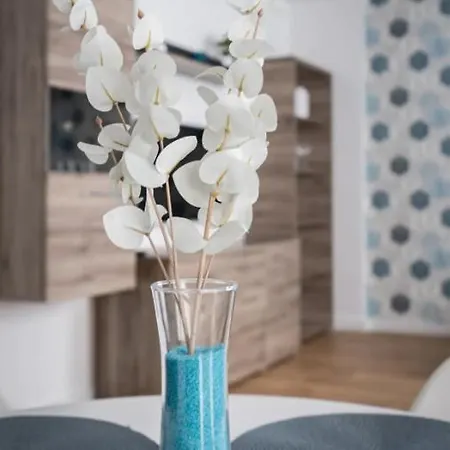 Apartament Black Rose
